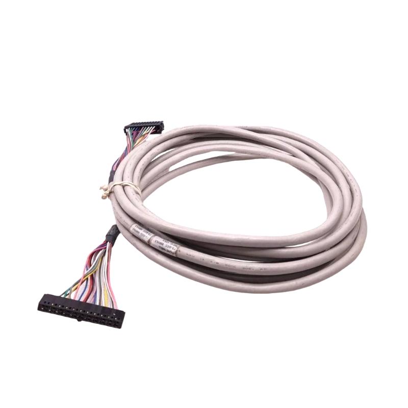 FS-SICC-0001 L30 (4)