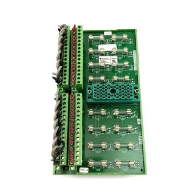 Triconex 9668-1 3000590-110 Terminat