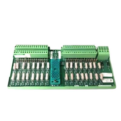 Triconex 9561-810 Digital Input Termination Panel 12-Month Warranty