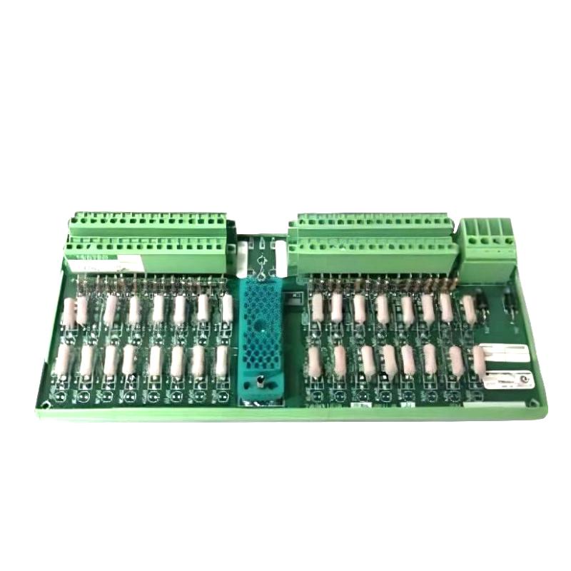 Triconex 9561-810 (1)
