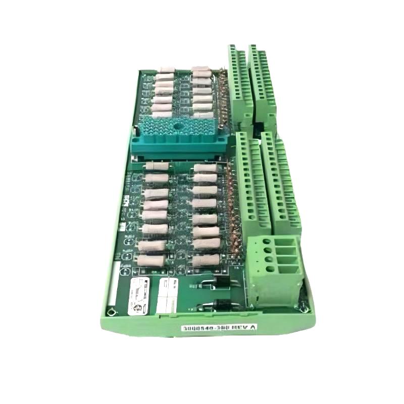 Triconex 9561-810 (2)