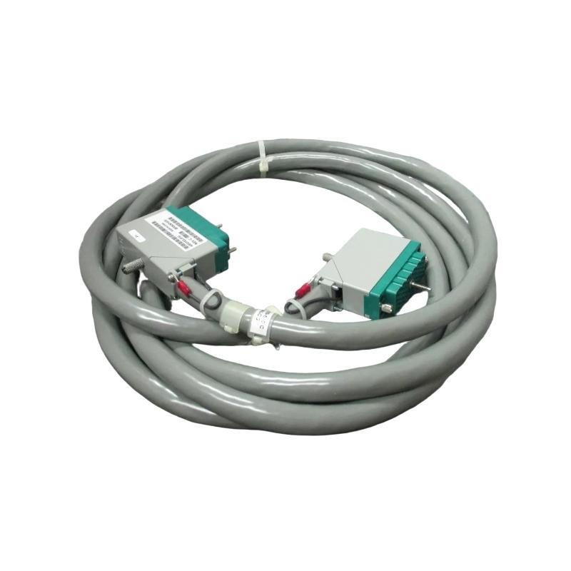 Triconex 9101-010F (1)
