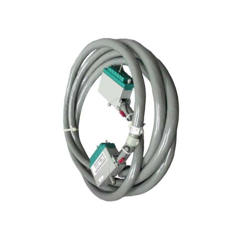 Triconex 9101-010F (3)