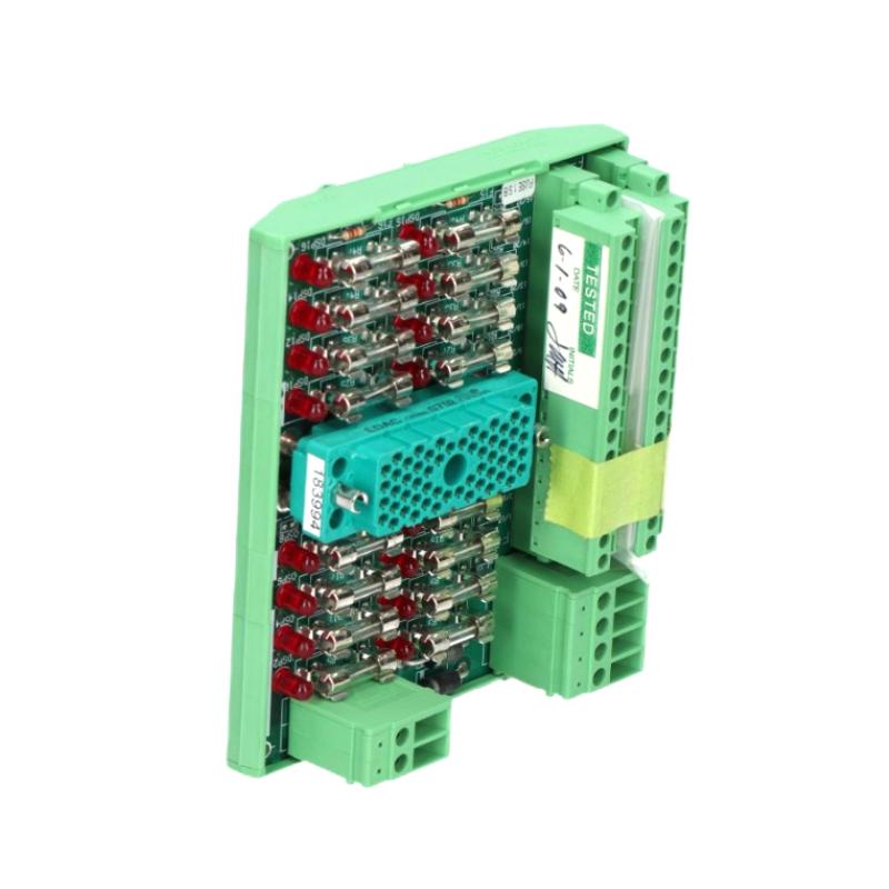 Triconex 9563-810 (1)