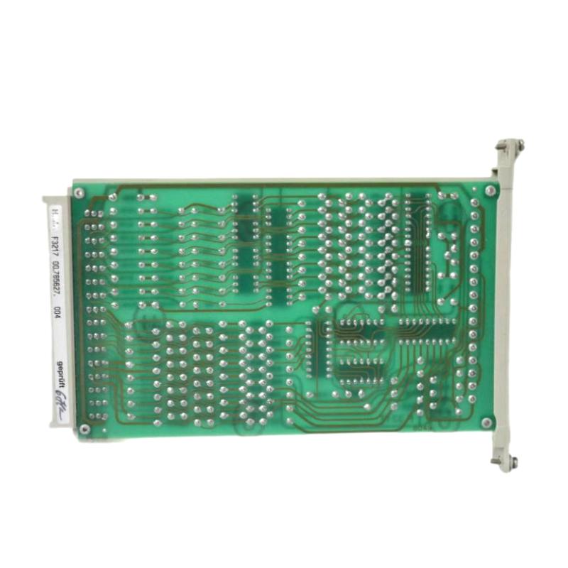 HIMA F3 217 (4)