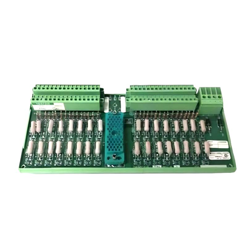 Triconex 9566-810 (1)