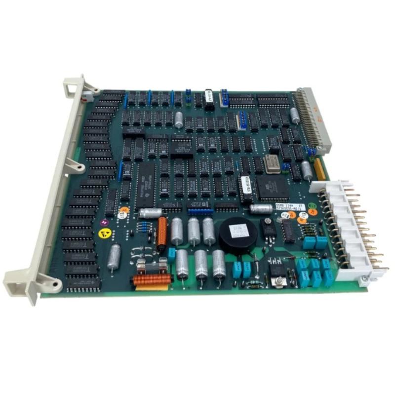 DSMB 114 57360001-MG (3)