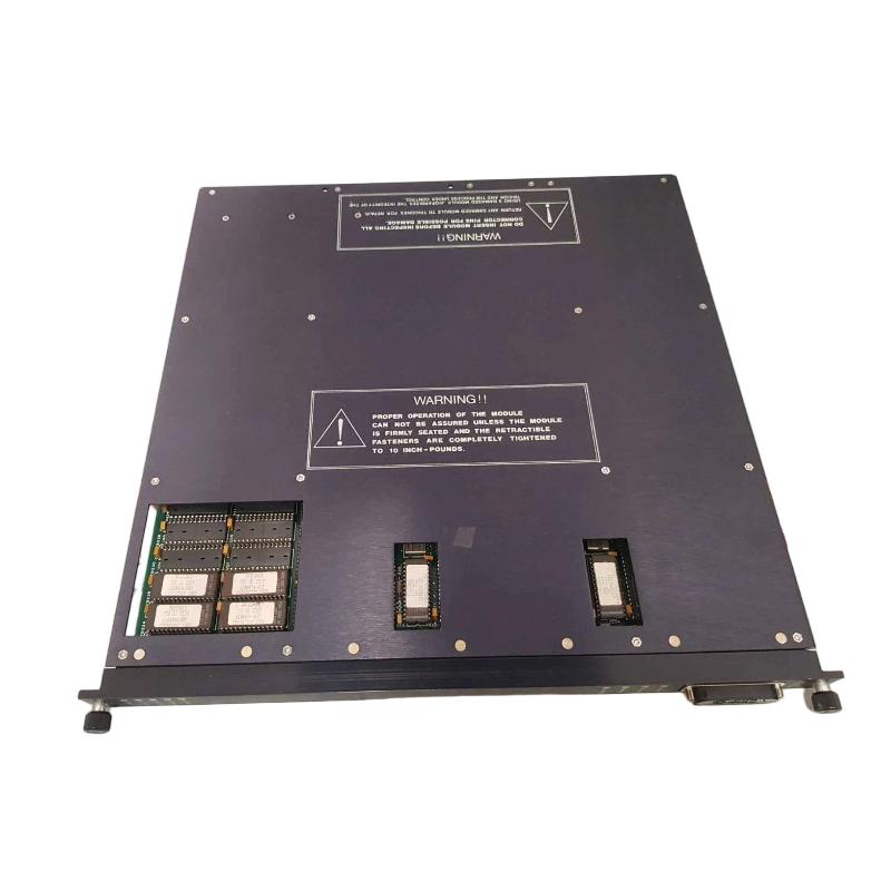 Triconex 3002 7400063-100 2