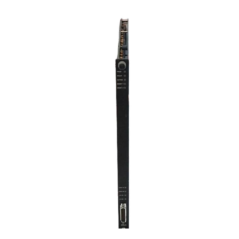 Triconex 3004 7400120-400 (1)