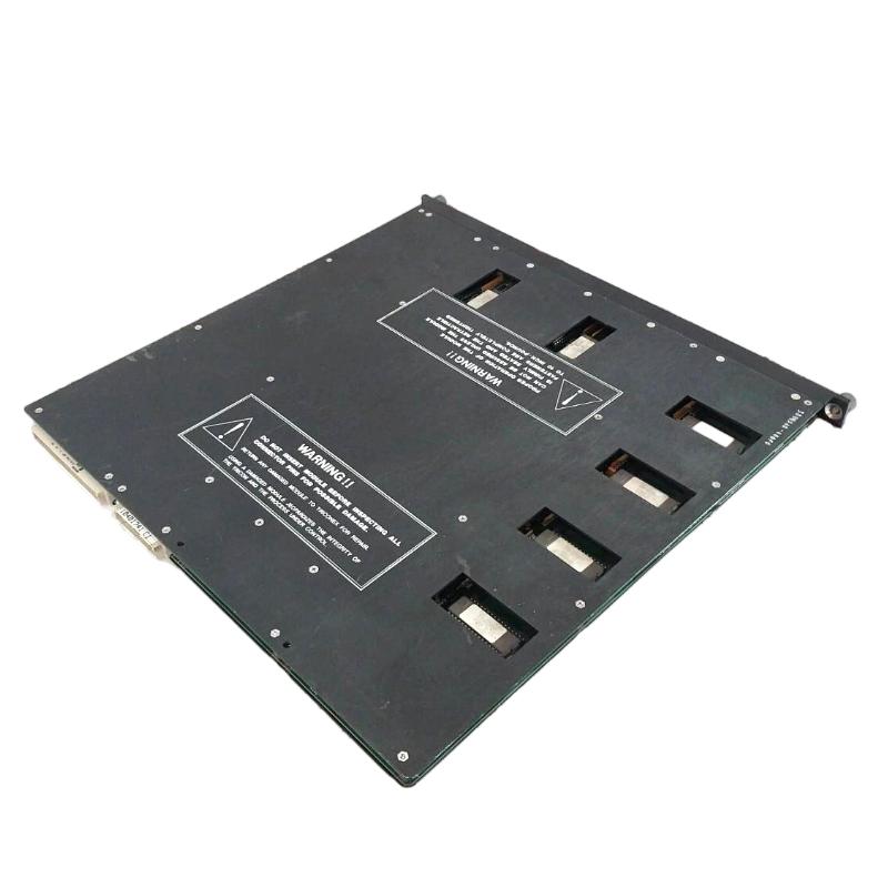 Triconex 3004 7400120-400 (2)