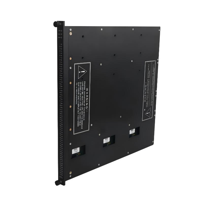 Triconex 3405E (1)