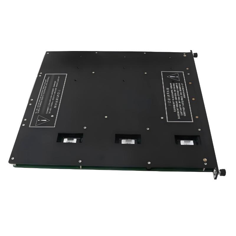 Triconex 3407 (2)