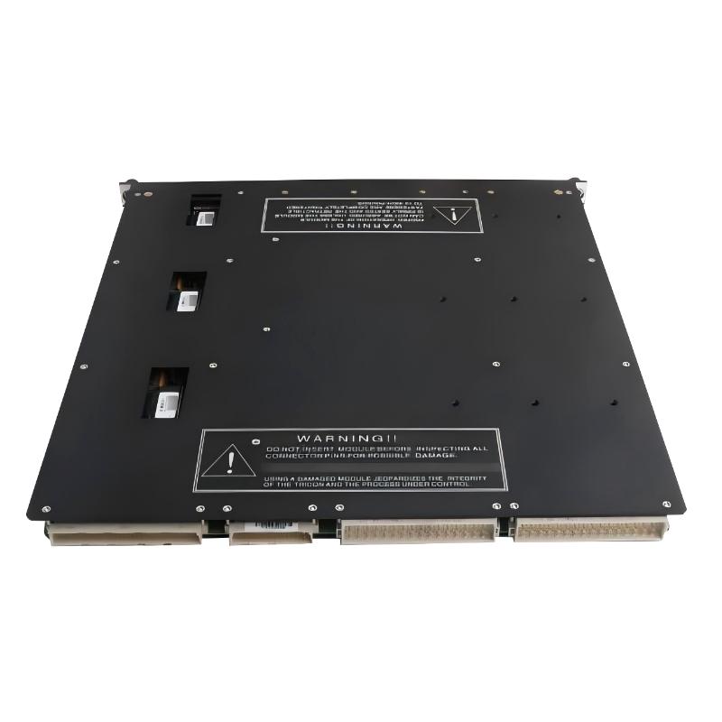 Triconex 3407 (4)