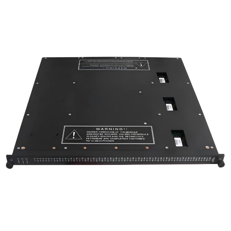 Triconex 3407 (3)