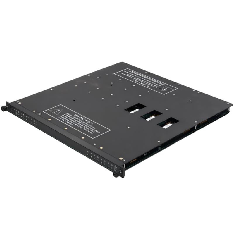 Triconex 3502E (1)