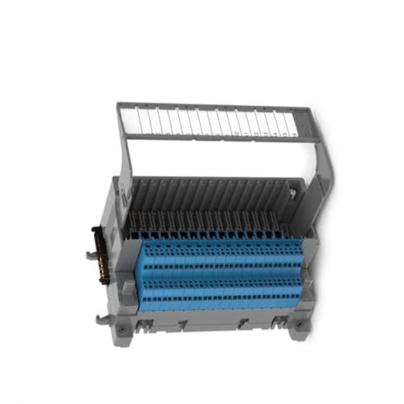 TUS810 3BSE078716R1 (1)