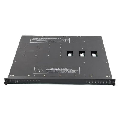 Triconex 3601E Digital Output Module Original