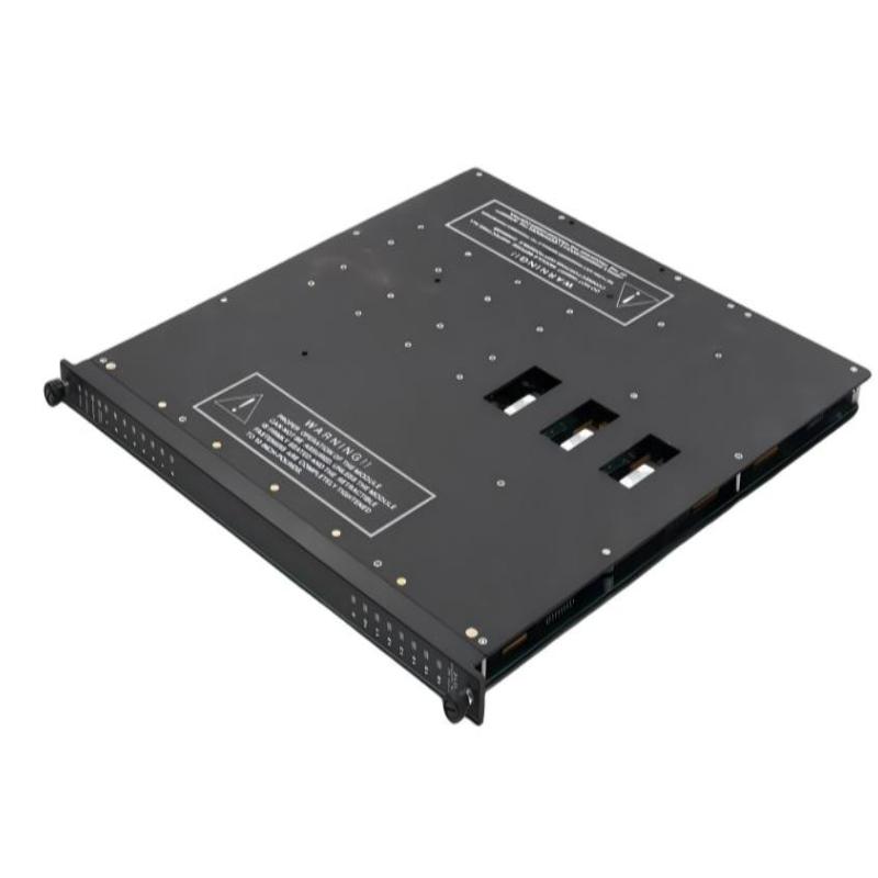 Triconex 3604 (1)