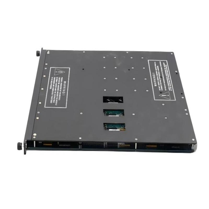 Triconex 3604 (3)