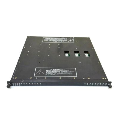 Triconex 3604E Digital Output Module Original