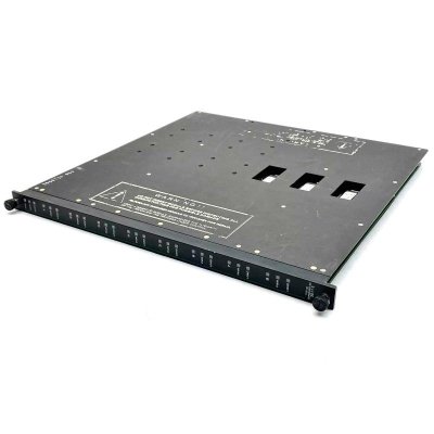 Triconex 3611E Supervised Digital Output Module Unbelievable Prices!