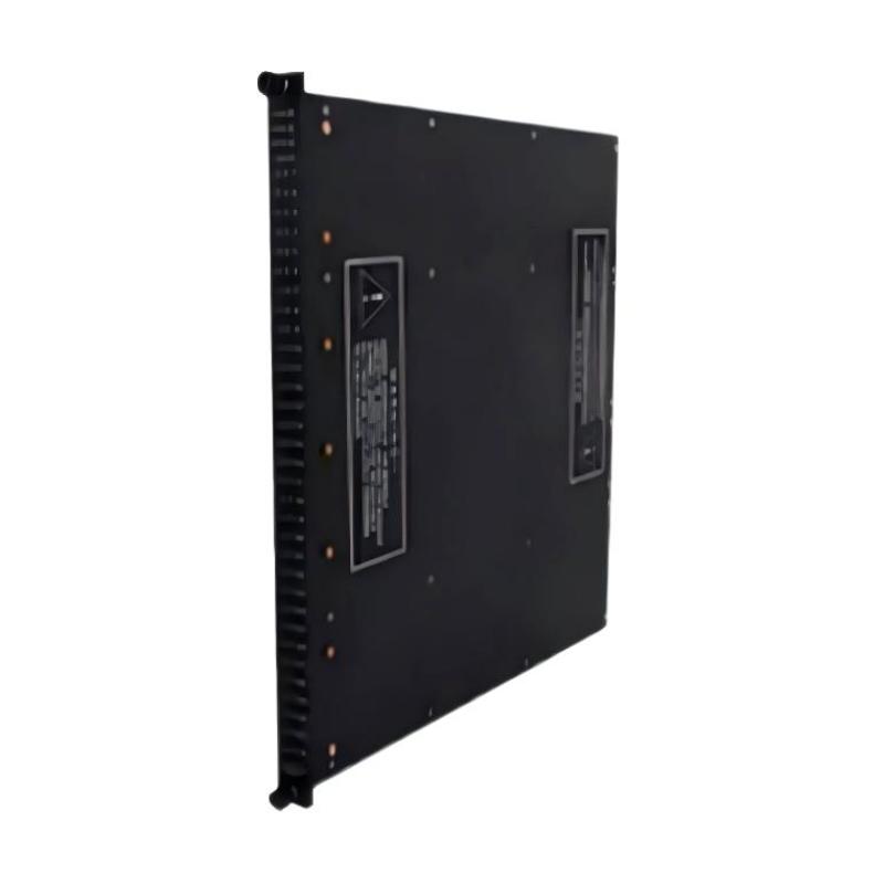 Triconex 3623 (1)