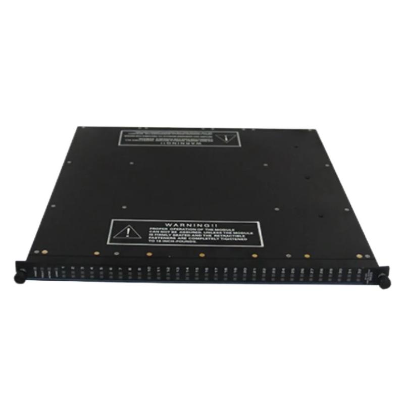 Triconex 3623 (4)