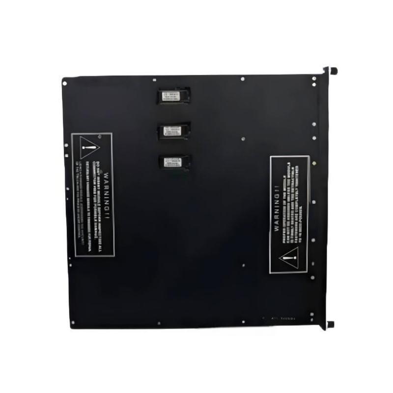 Triconex 3623 (5)
