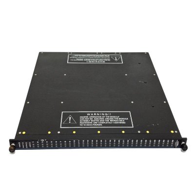Triconex 3625N 24VDC Digital Output Module Unbelievable Prices!
