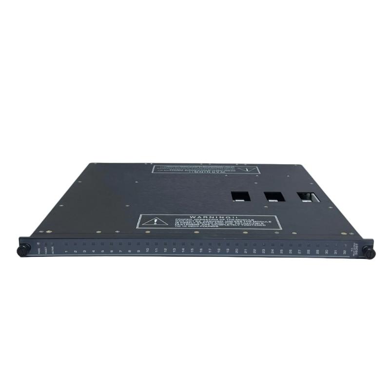 Triconex 3636T (1)