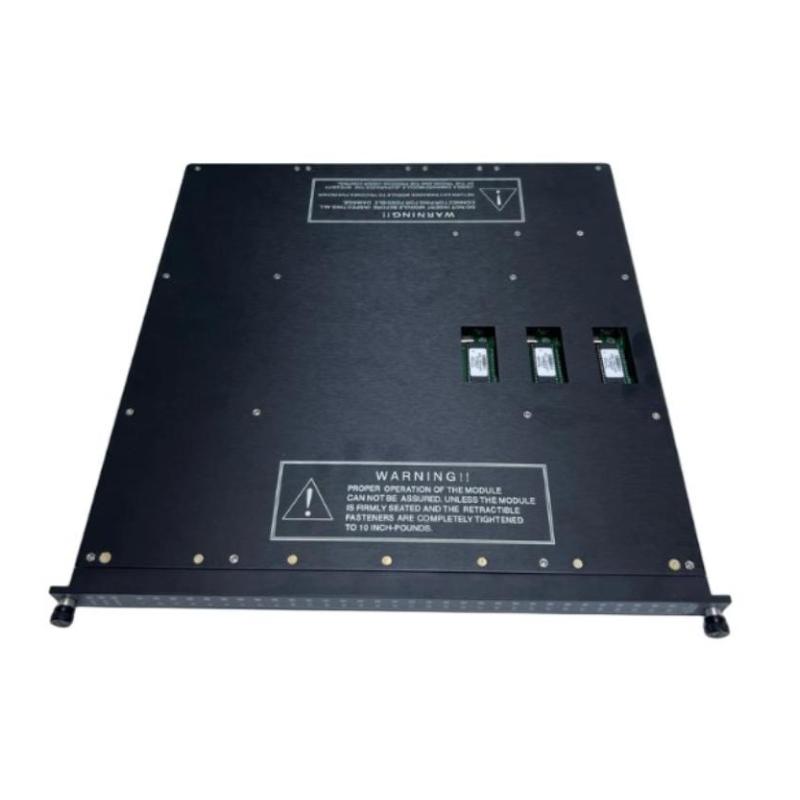 Triconex 3636T (3)