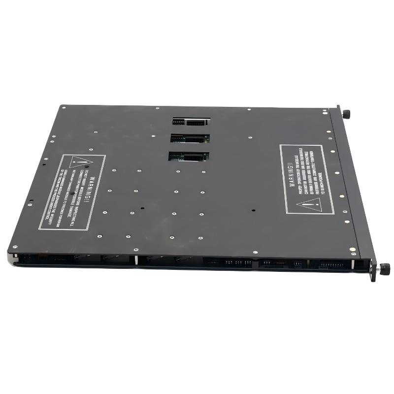 Triconex 3664 (2)