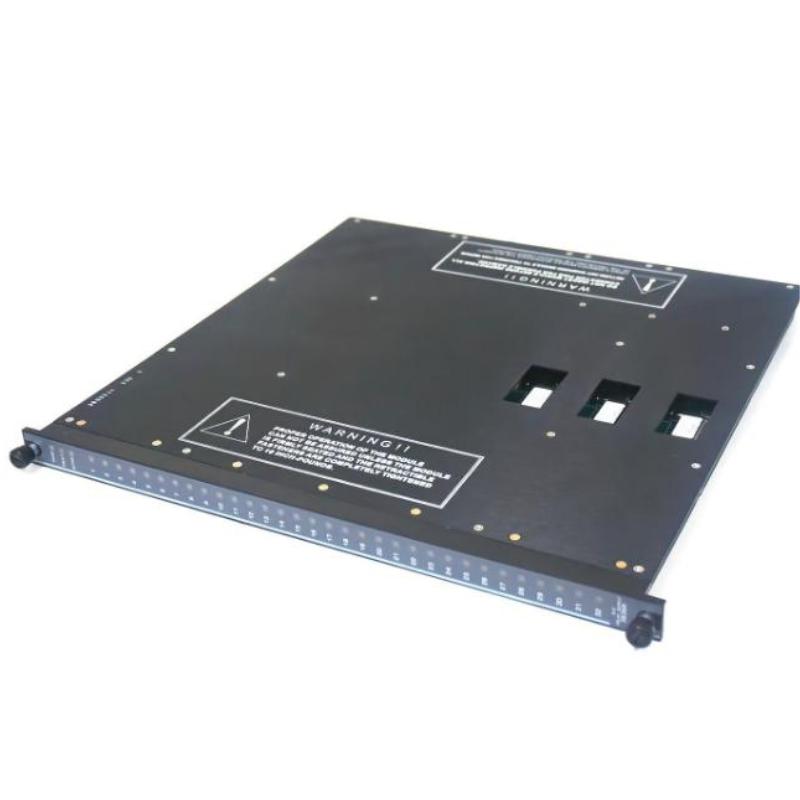 Triconex 3636R (4)