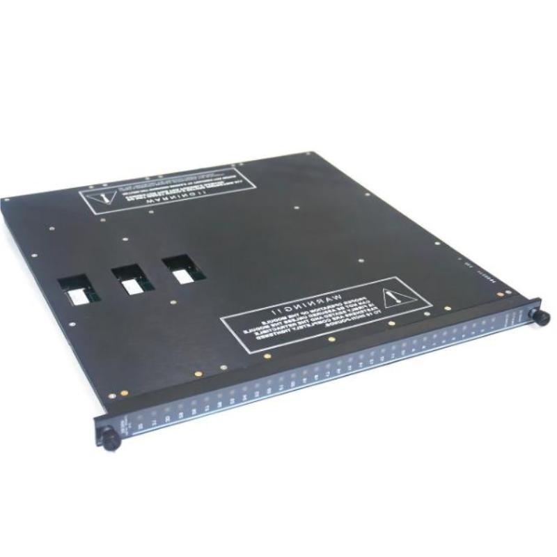 Triconex 3636R (3)