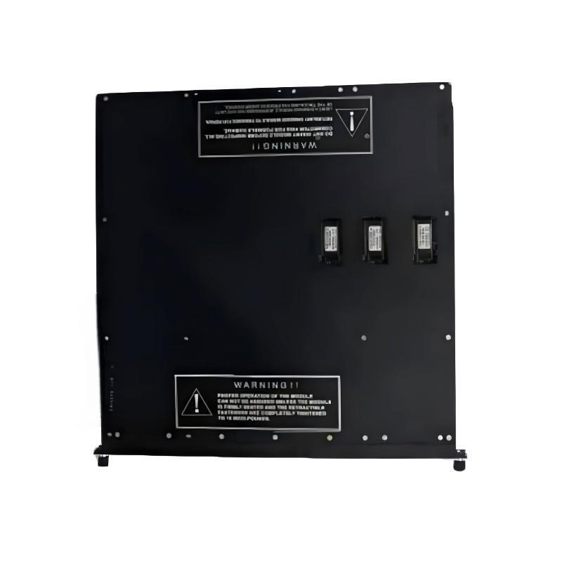 Triconex 3674 (2)
