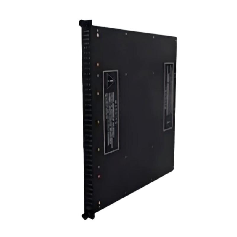 Triconex 3674 (4)
