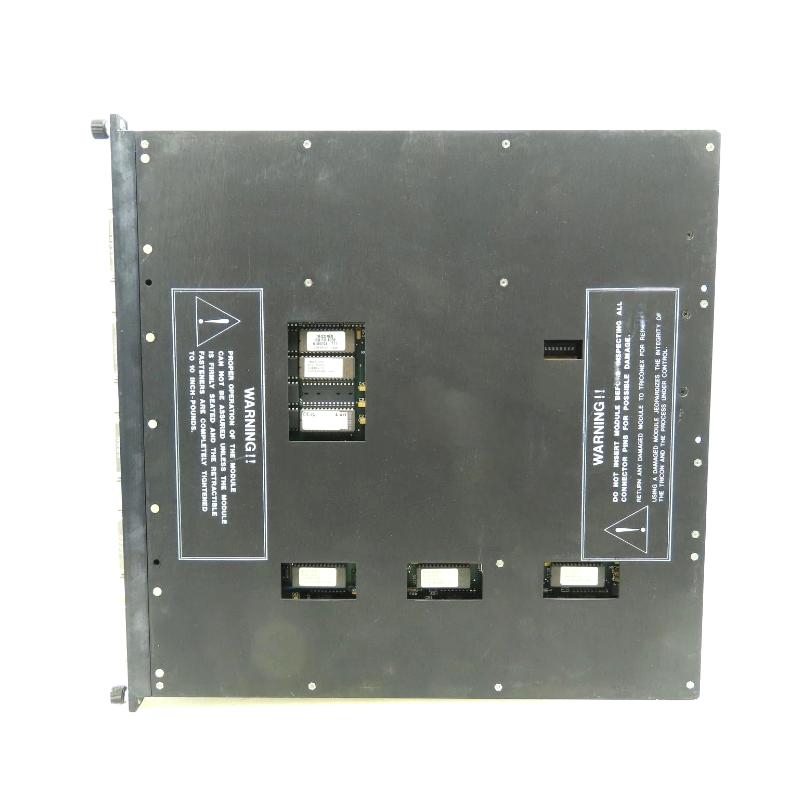 Triconex 4101 7400078-100 (1)