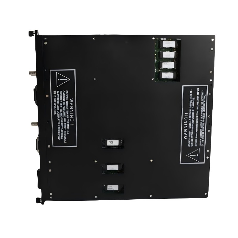 Triconex 4107 7400078-100 (4)