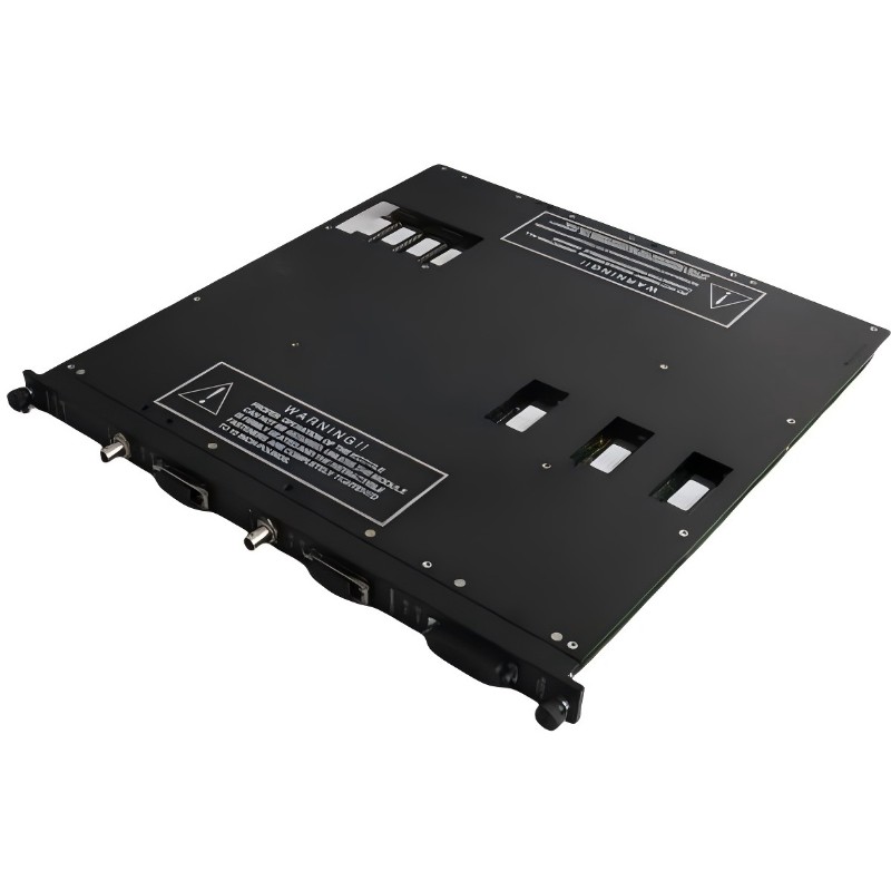 Triconex 4107 7400078-100 (3)