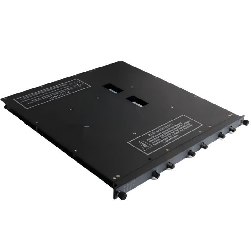 Triconex 4200N (3)