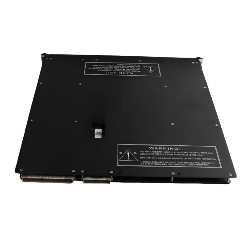 Triconex 4200N (4)