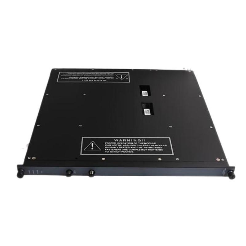Triconex 4201N (1)