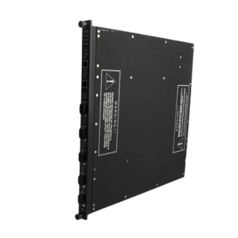 Triconex 4201N (3)
