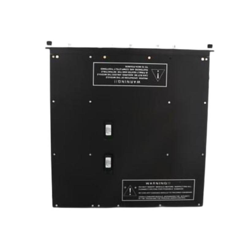Triconex 4201N (4)