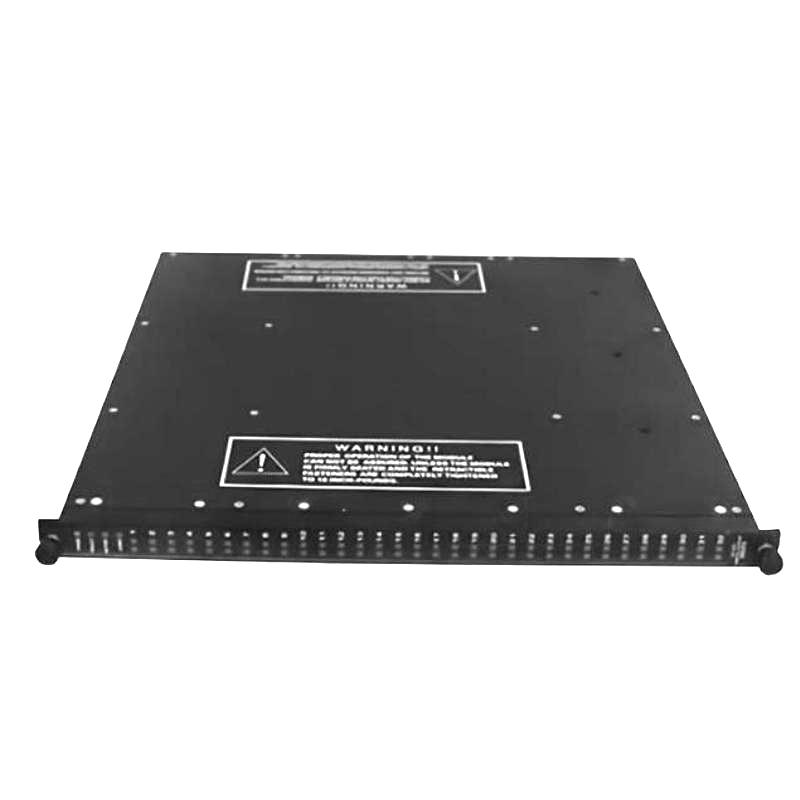 Triconex 4315B (4)