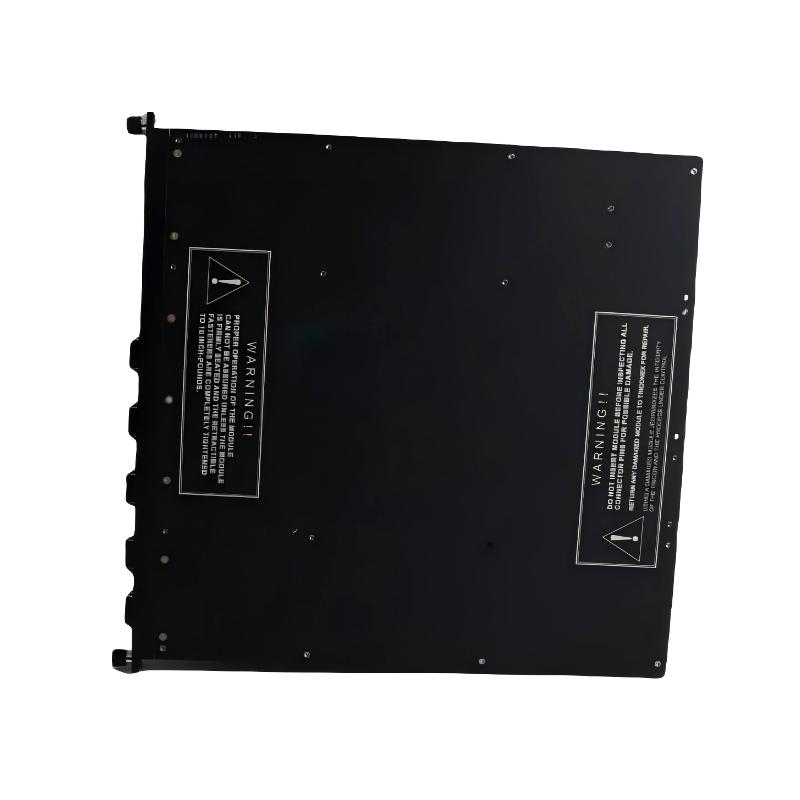 Triconex 4352A (1)