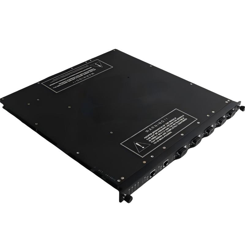 Triconex 4352A (2)