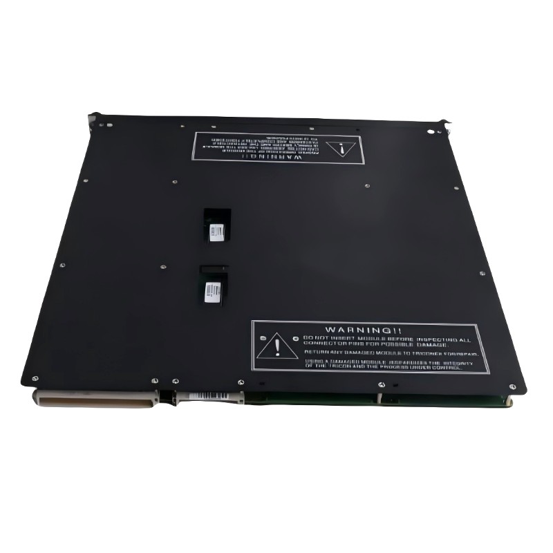 Triconex 4354 (4)