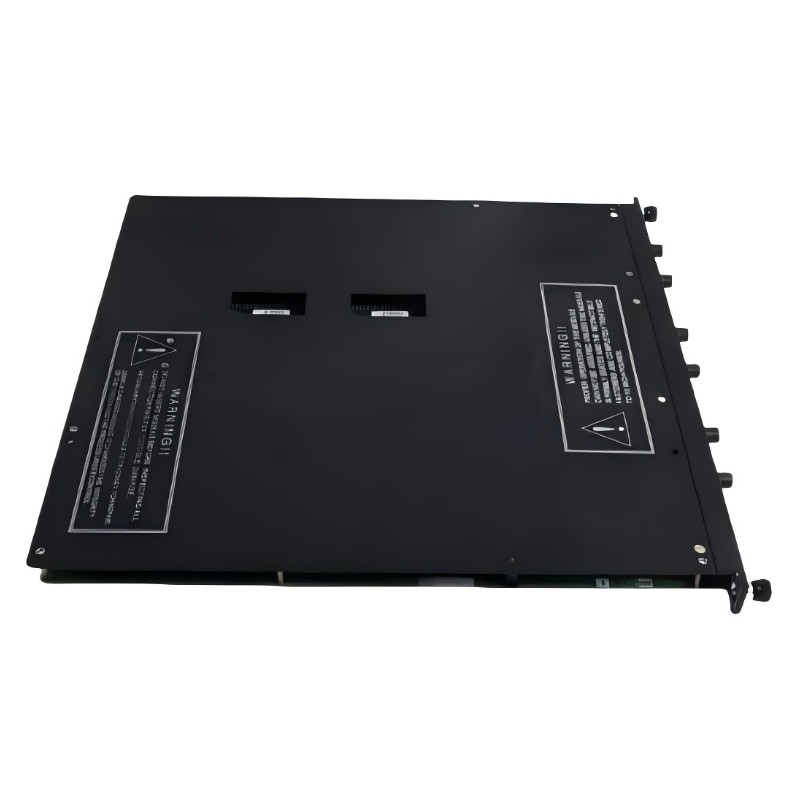 Triconex 4354 (3)