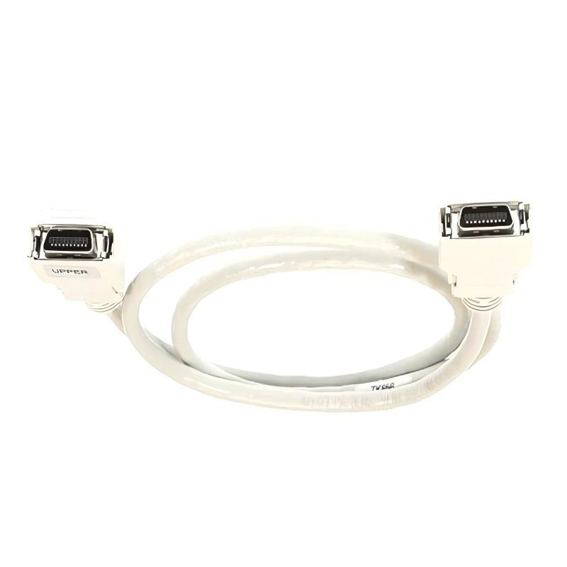 ABB TK891F 3BDM000201R1 (1)
